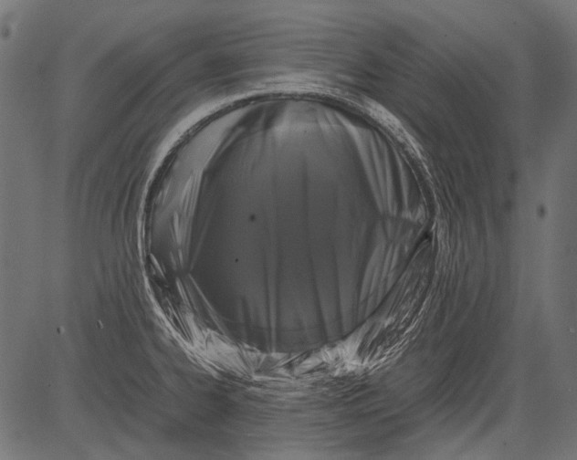 X0000081391334200702020246