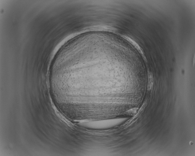 X0000081391342200702020246