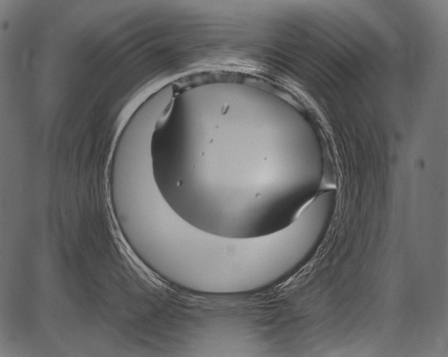 X0000081391344200702020246