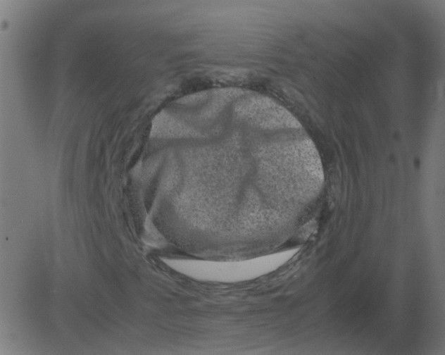 X0000081391345200702020245