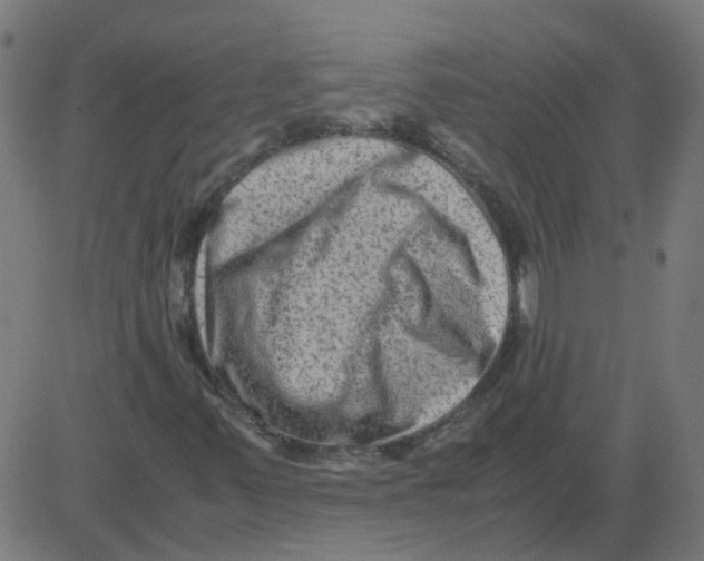 X0000081391347200702020245