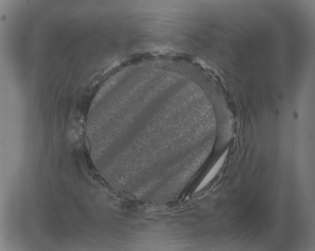 X0000081391349200702020245