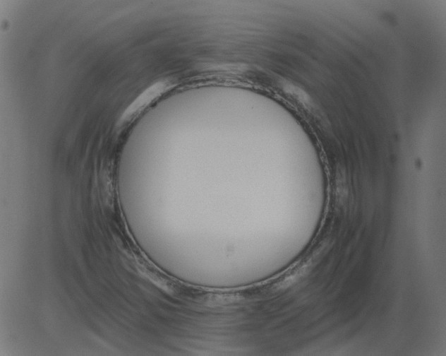 X0000081391354200702020245