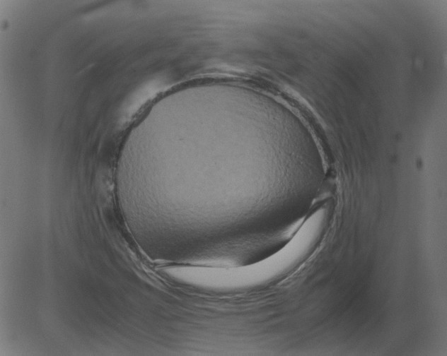 X0000081391355200702020245