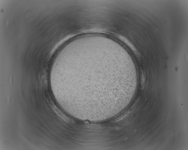 X0000081391356200702020245