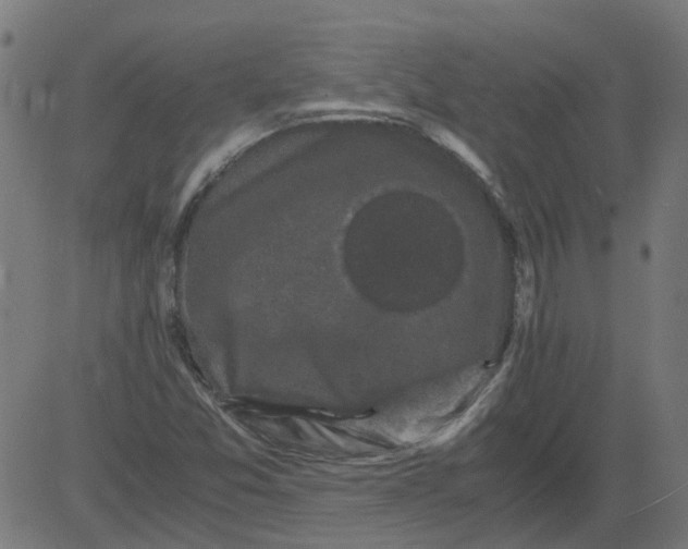 X0000081391357200702020245