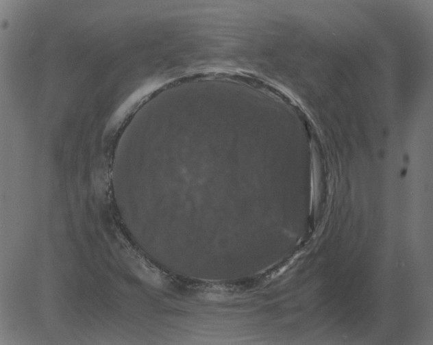 X0000081391359200702020245