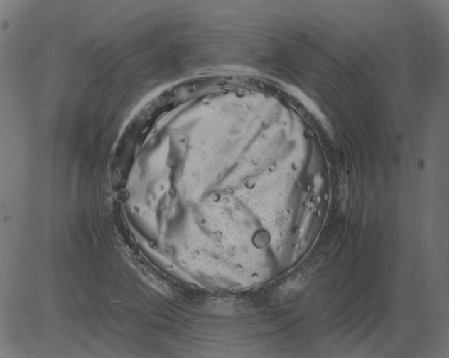 X0000081391364200702020245