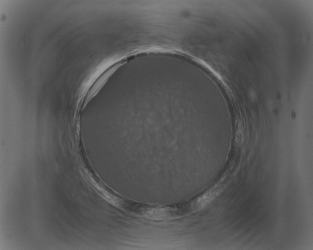 X0000081391367200702020245