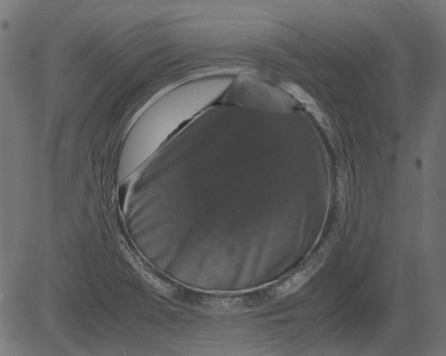 X0000081391369200702020245