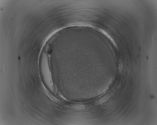 X0000081391372200702020244