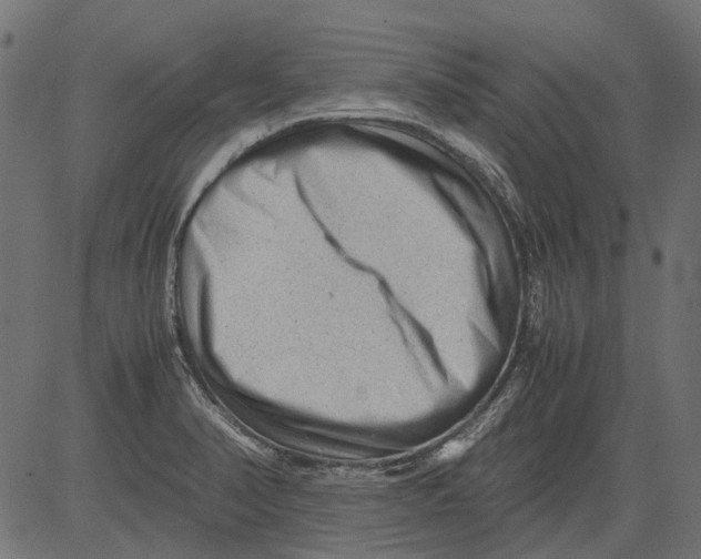 X0000081391374200702020244