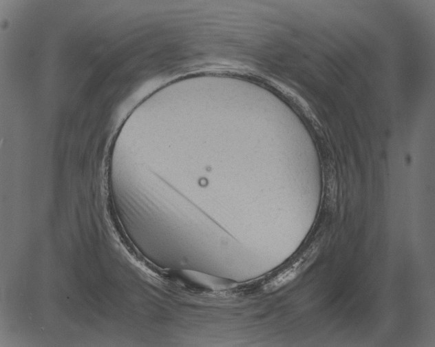 X0000081391375200702020244