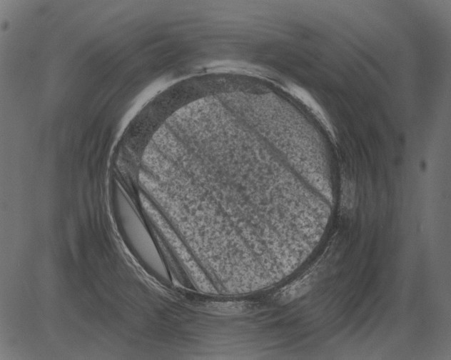 X0000081391376200702020244