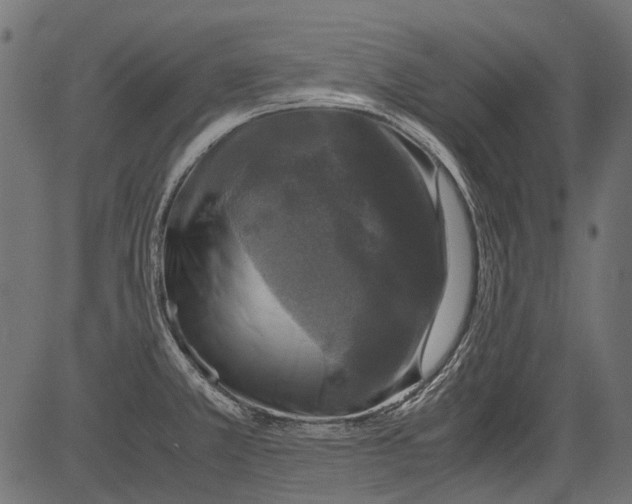 X0000081391381200702020244