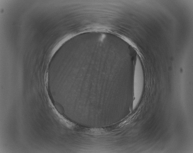 X0000081391383200702020244