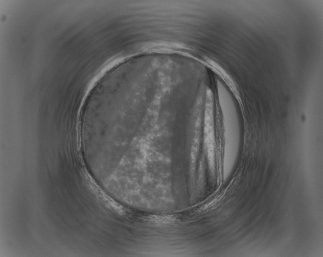 X0000081391384200702020244