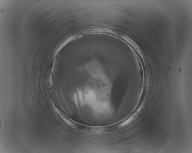 X0000081391385200702020244