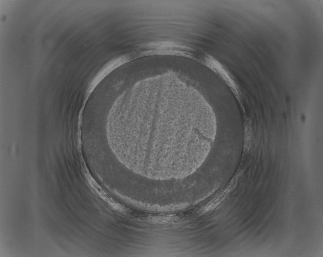 X0000081391386200702020244