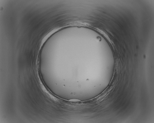 X0000081391387200702020244