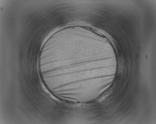 X0000081391390200702020244