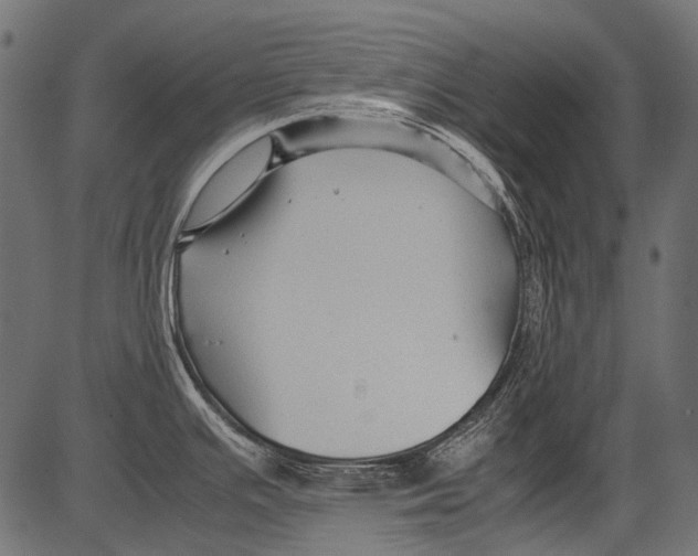 X0000081391391200702020244