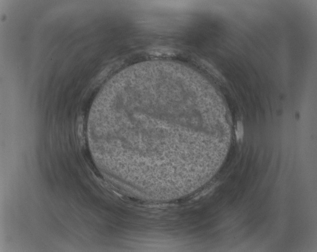 X0000081391396200702020243