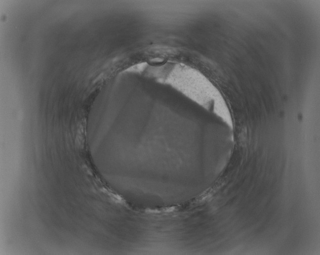 X0000081391397200702020243