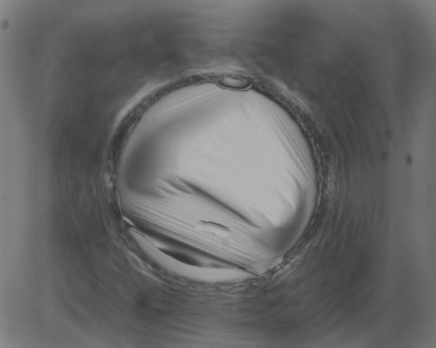 X0000081391400200702020243