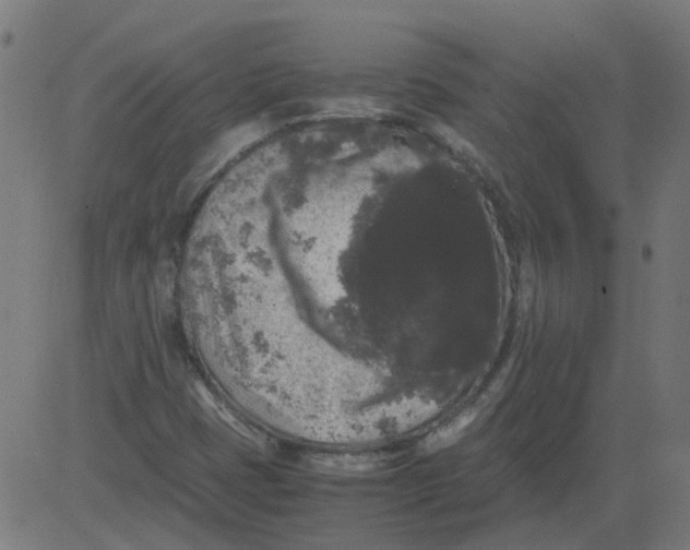 X0000081391401200702020244