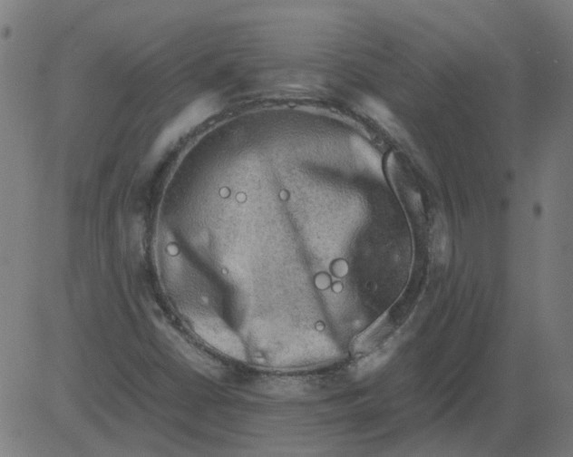 X0000081391402200702020244