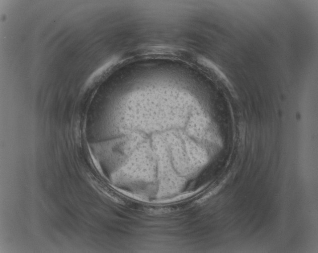 X0000081391403200702020244