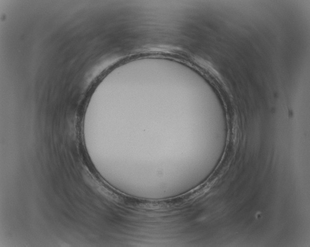 X0000081391404200702020244