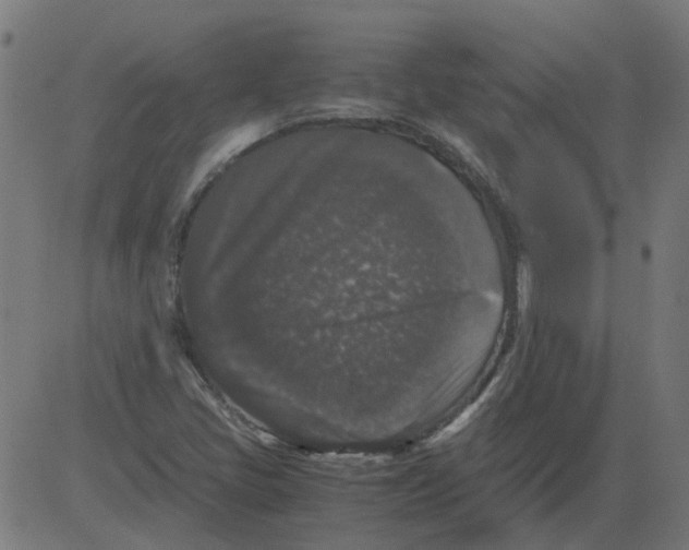 X0000081391405200702020244