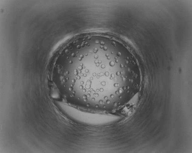 X0000081391406200702020244