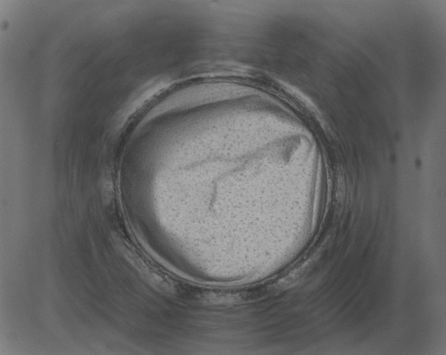 X0000081391407200702020244