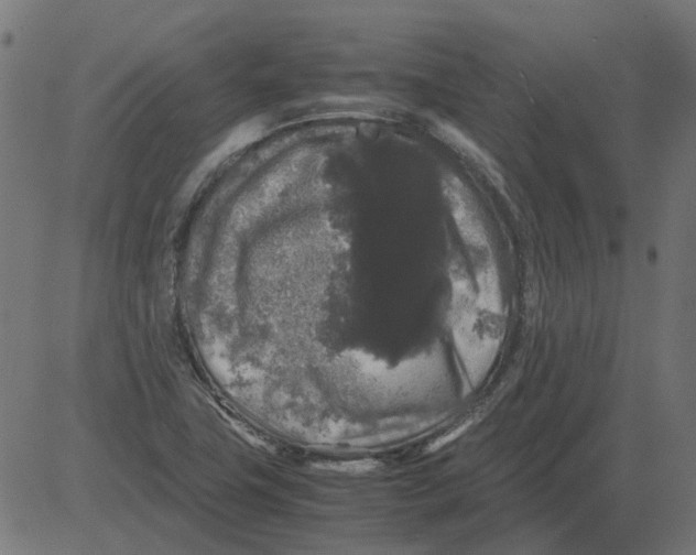 X0000081391411200702020244