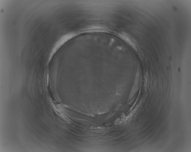 X0000081391413200702020244