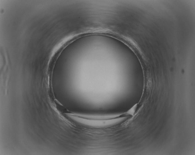 X0000081391414200702020244