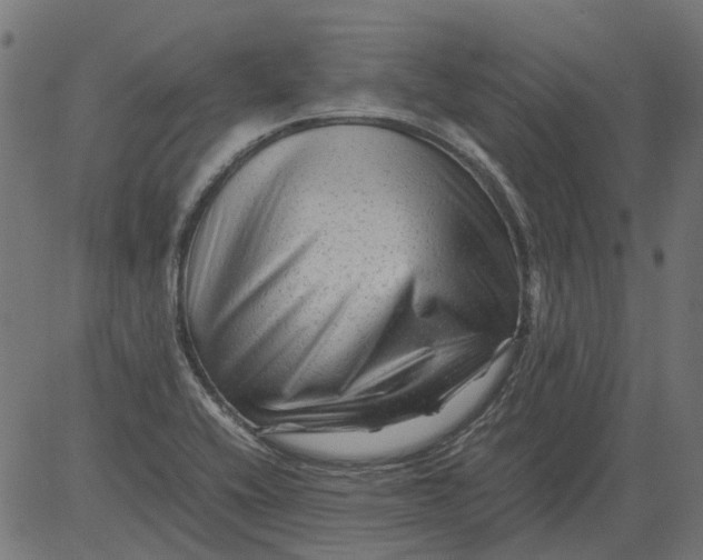 X0000081391416200702020244