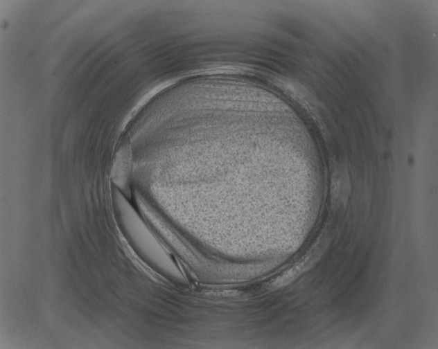 X0000081391417200702020244