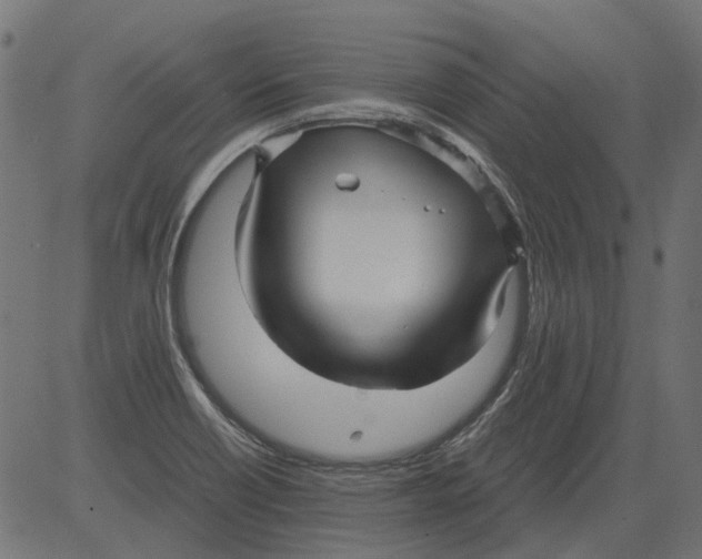 X0000081391418200702020244