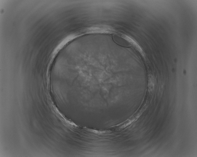 X0000081391419200702020244