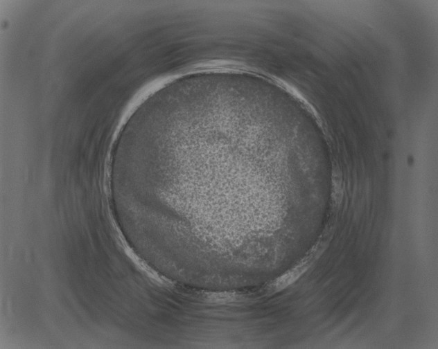 X0000081391421200702020244