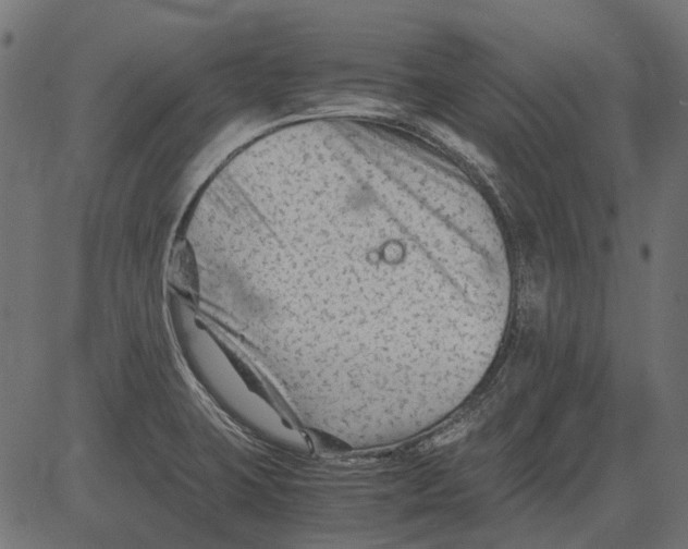 X0000081391423200702020244