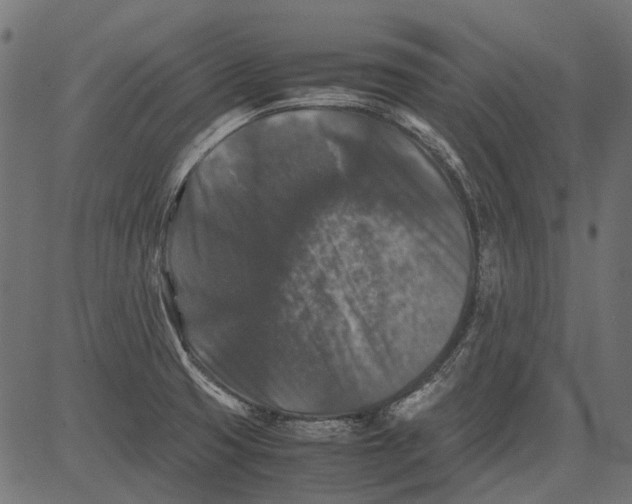 X0000081391425200702020244