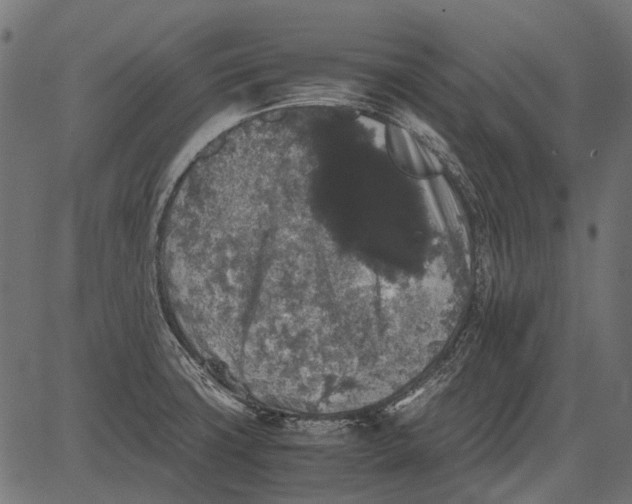 X0000081391427200702020244