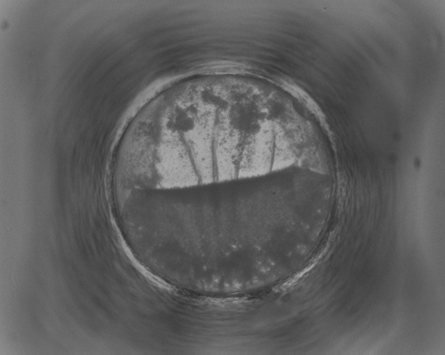 X0000081391429200702020244