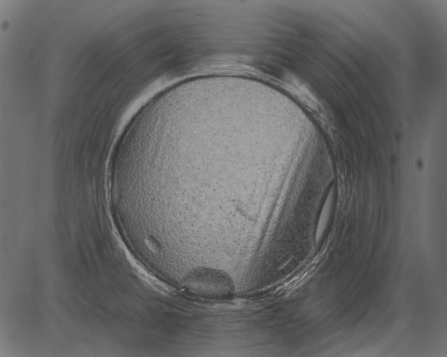 X0000081391430200702020244