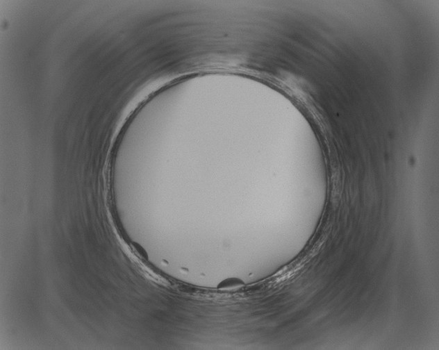 X0000081391432200702020244